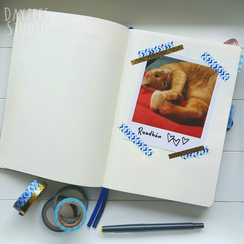 logolicious_20170211_211847